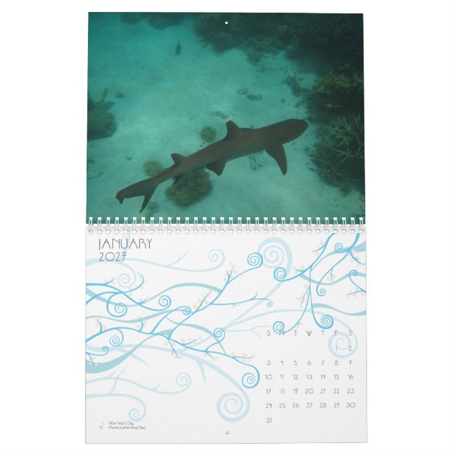 Das Great Barrier Reef, Australien Kalender (Jan 2027)