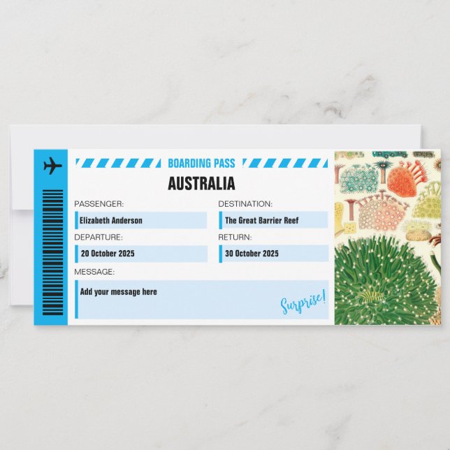 Das große Barrier Reef-Überraschungsflugticket (Vorderseite)