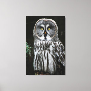 Das große graue Owl 24x36 (60x90cm) waccna Leinwanddruck