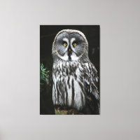 Das große graue Owl 40x60 (100x150cm) waccna