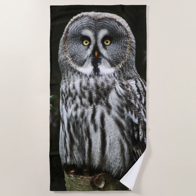 Das große graue Owl-Btcnm Strandtuch (Vorderseite)