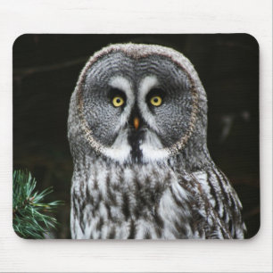 Das große graue Owl mpcnm Mousepad