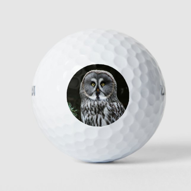 Das große graue Owl wu gbcna Golfball (Vorderseite)