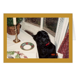 das große Huhn des Stückes O