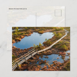 Das große Kemeri-Moor-Boardwalk, Lettland Postkarte