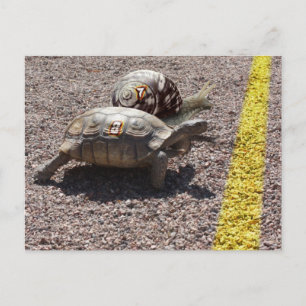 Das große Rennen Postkarte