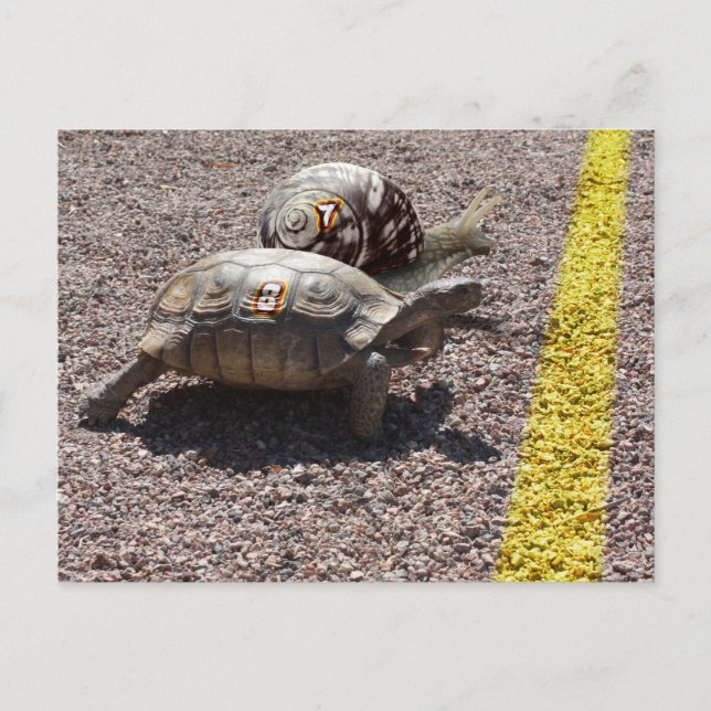 Das große Rennen Postkarte (Vorderseite)