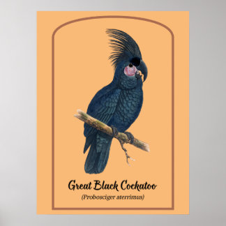 Das große schwarze Kakadu Poster