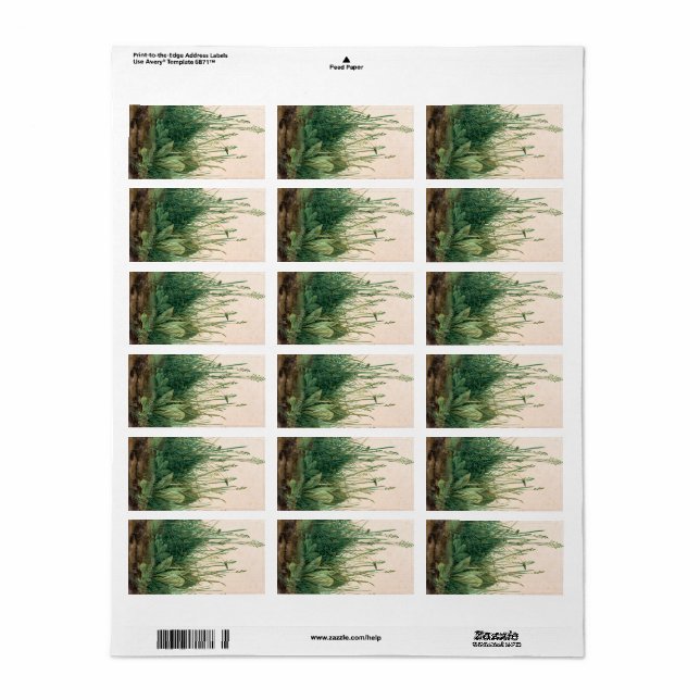 Das große Stück Turf, 1503 von Albrecht Durer Adressaufkleber (Vorne)