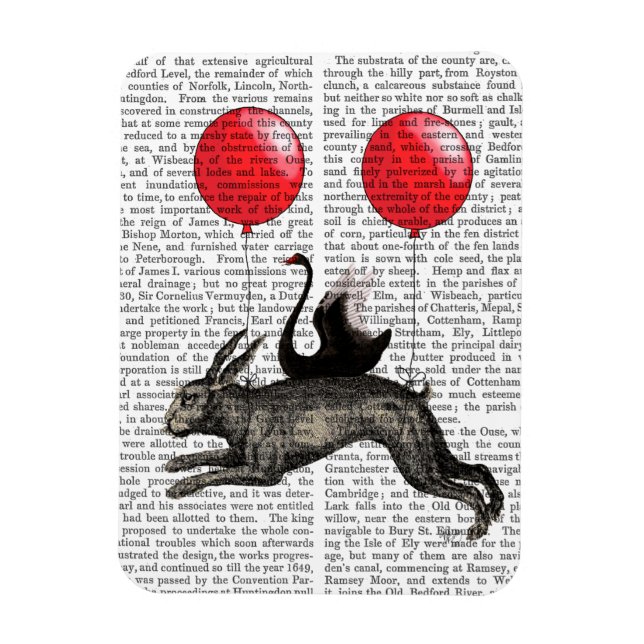 Das Hareschiff Magnet (Vertikal)