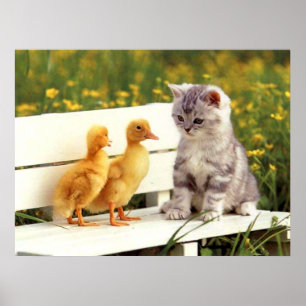 Das hässliche Enten-Plakat Poster