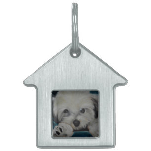 Das Havanese Tiermarke