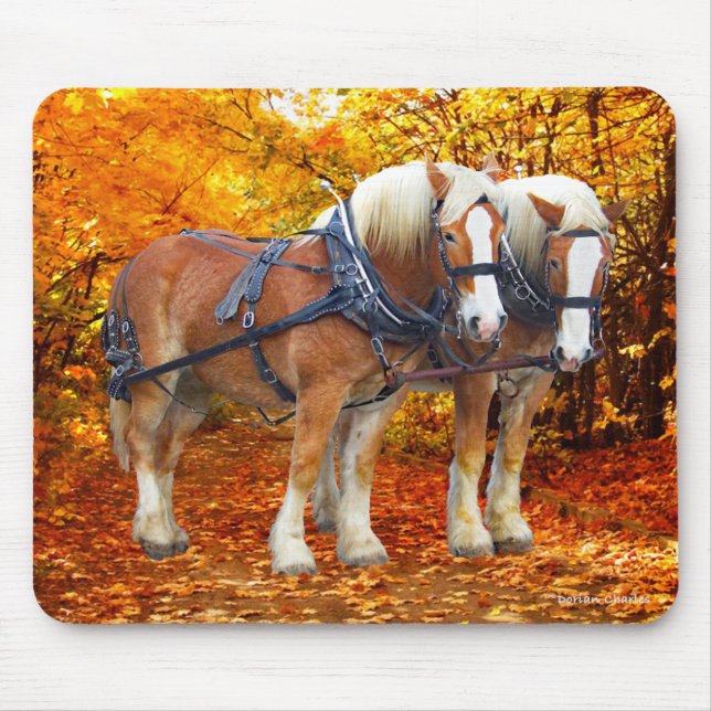 "Das Hayride-Team" Mousepad (Vorne)