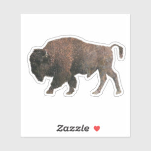 Das heilige Buffalo Aufkleber