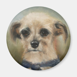 Das heimatlose Terrier Magnet