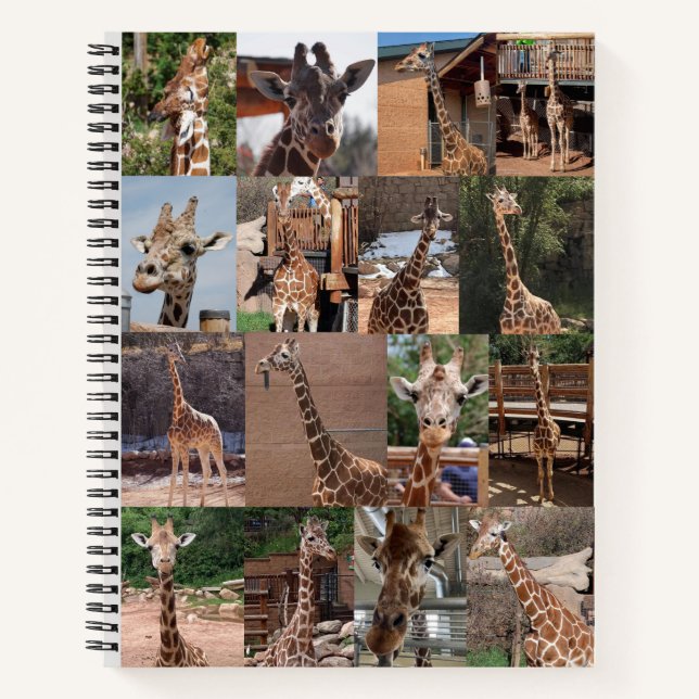 Das Herd-Notebook Notizbuch (Vorderseite)