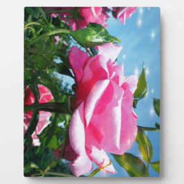 Das herrliche Rosa erhob sich am blauen Himmel. Bl Fotoplatte