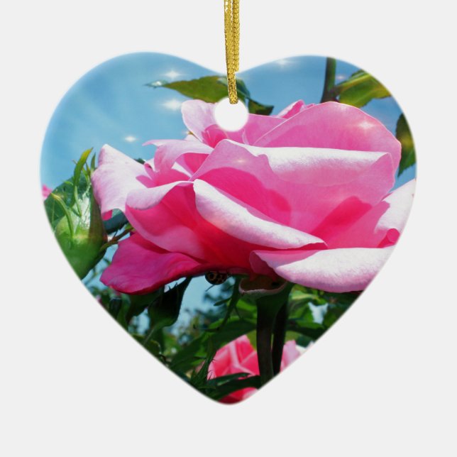 Das herrliche Rosa erhob sich am blauen Himmel. Bl Keramik Ornament (Vorne)