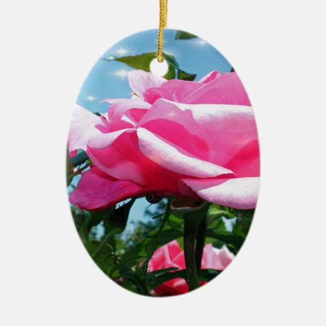 Das herrliche Rosa erhob sich am blauen Himmel. Bl Keramik Ornament (Vorne)