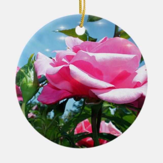 Das herrliche Rosa erhob sich am blauen Himmel. Bl Keramik Ornament (Vorne)