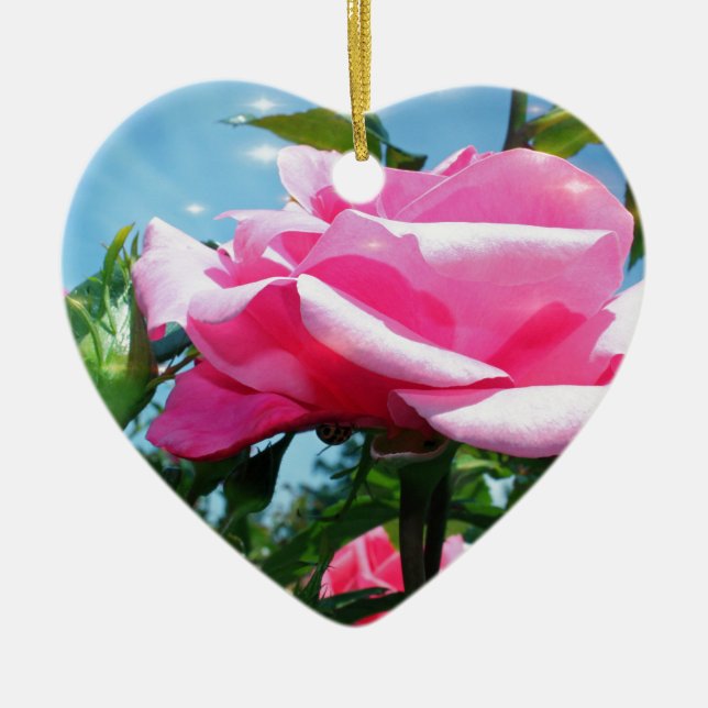 Das herrliche Rosa erhob sich am blauen Himmel. Bl Keramikornament (Vorne)