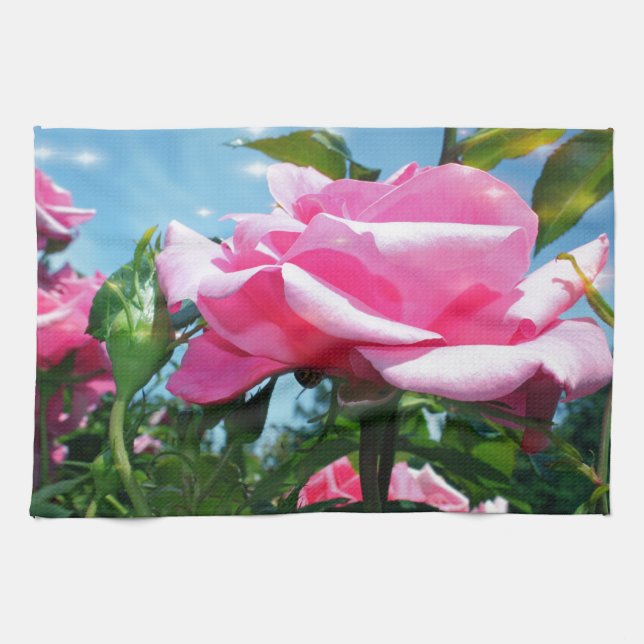 Das herrliche Rosa erhob sich am blauen Himmel. Bl Küchentuch (Horizontal)
