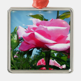 Das herrliche Rosa erhob sich am blauen Himmel. Bl Ornament Aus Metall