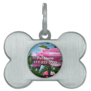 Das herrliche Rosa erhob sich am blauen Himmel. Bl Tiermarke