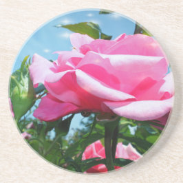 Das herrliche Rosa erhob sich am blauen Himmel. Bl Untersetzer