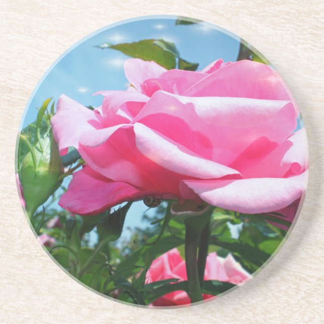 Das herrliche Rosa erhob sich am blauen Himmel. Bl Untersetzer (Vorne)