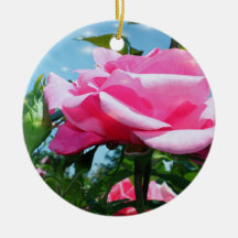 Das herrliche Rosa erhob sich am blauen Himmel. Va