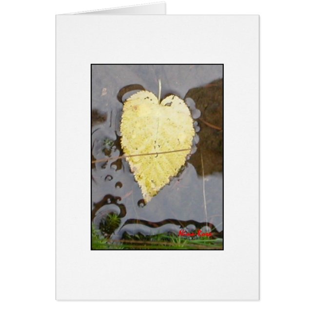 Das Herz der Natur (Vorne)