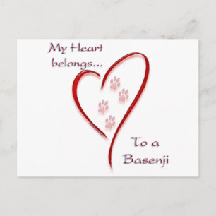 Das Herz gehört Basenji an; Liebe Basenji Postkarte