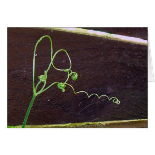 Das Herz-Schnüre der Natur