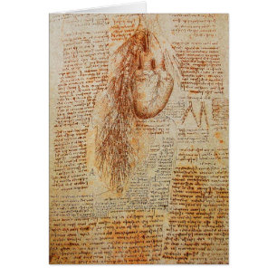 Das Herz und das Bronchial Arteries Pergament