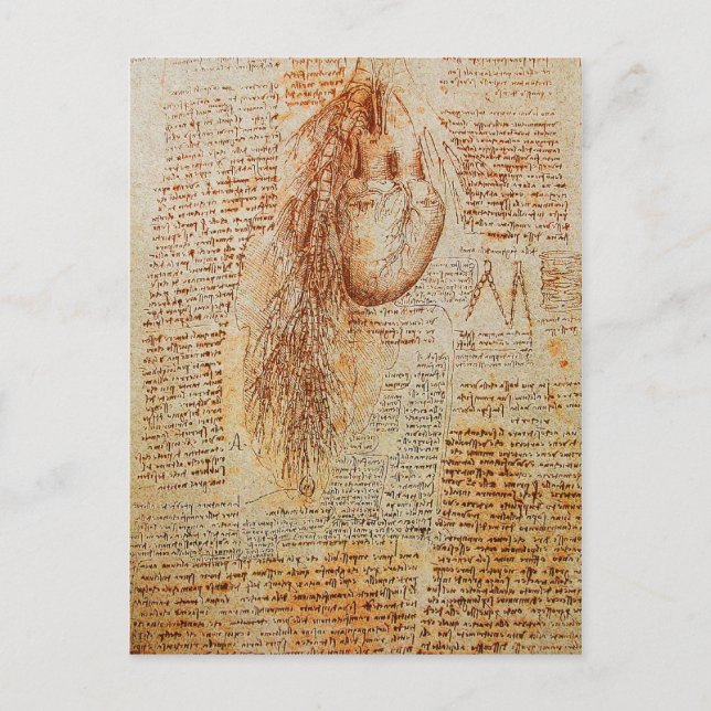 Das Herz und das Bronchial Arteries Pergament Postkarte (Vorderseite)