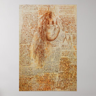 Das Herz und die Bronchialarterien Poster