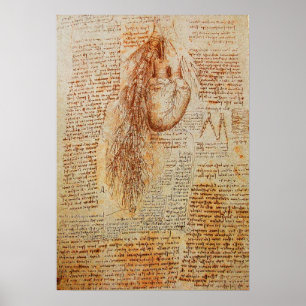 Das Herz und die Bronchiale Poster