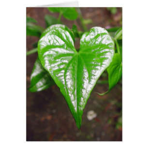 das Herz von Sachen…