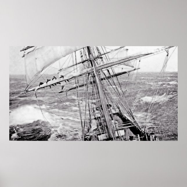 Das Horn Poster (Vorne)