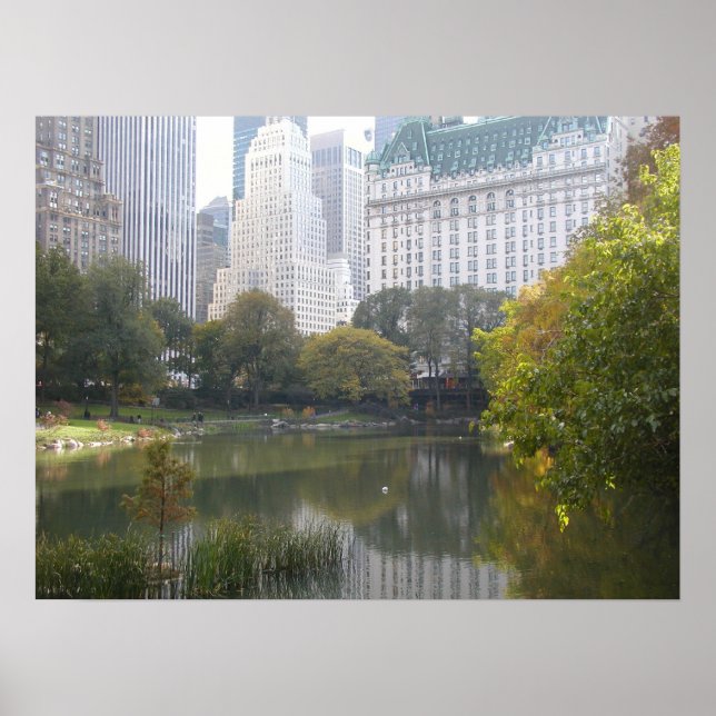 Das Hotel im Central Park Poster (Vorne)