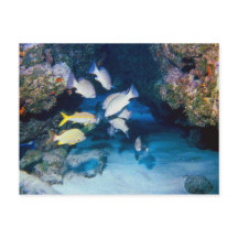 DAS HOTEL IN DER WALL POSTCARD