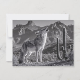 Das Howling von Coyote in der Wüstenlandschaft Postkarte