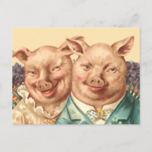 Das hübsche Schweinepaar Postkarte