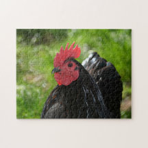 Das Huhn