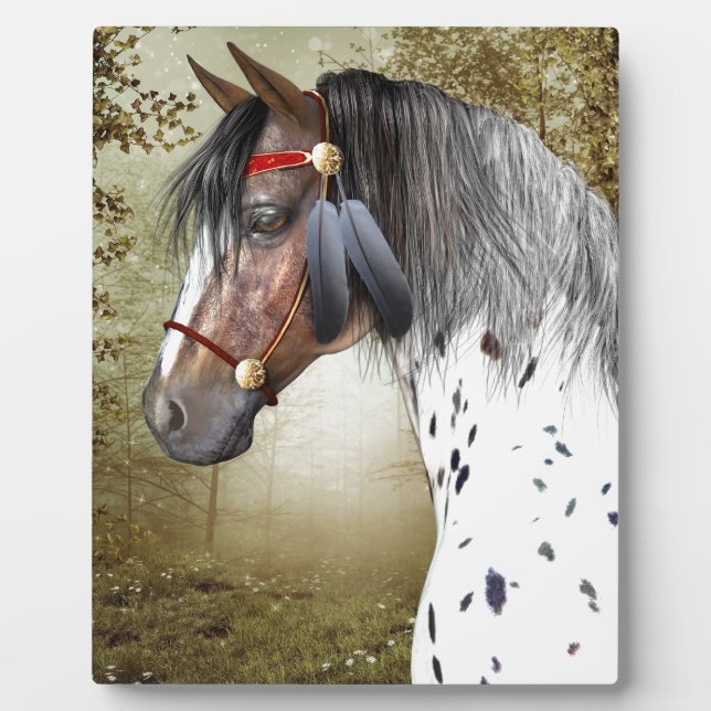 Das indische Pony Fotoplatte (Vorderseite)