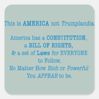 Das ist Amerika Quadratischer Aufkleber