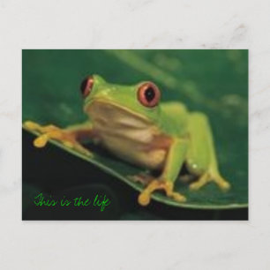 Das ist das Leben Postkarte