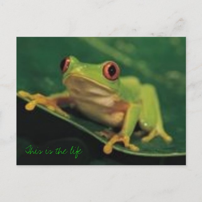 Das ist das Leben Postkarte (Vorderseite)