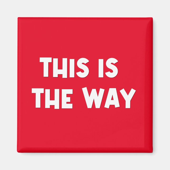 Das ist das Way Magnet (Vorne)